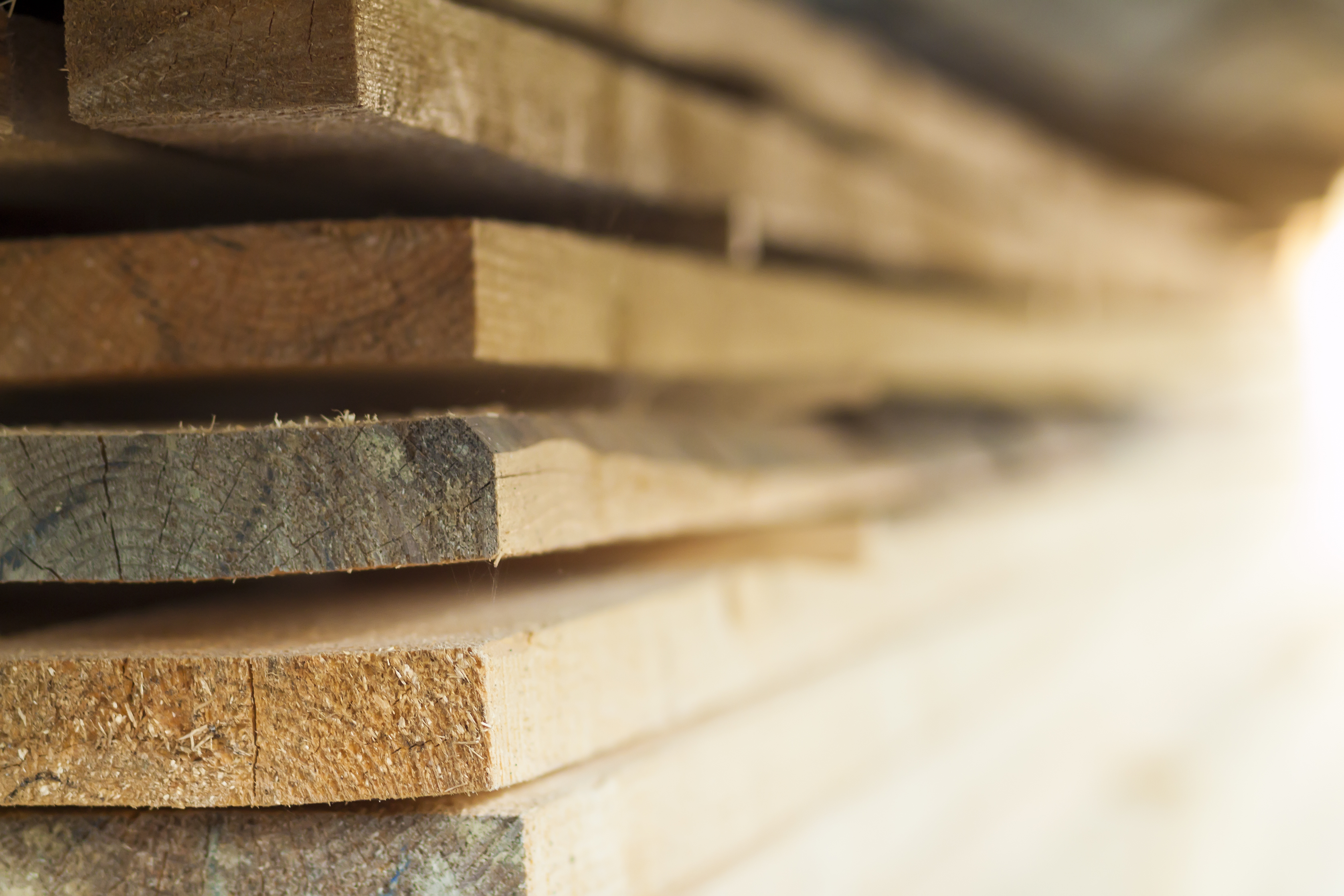 Holzbau Projekt